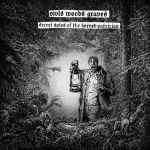 OWLS WOODS GRAVES - Secret Spies of the Horned Patrician CD
